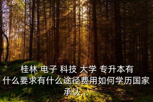  桂林 電子 科技 大學(xué) 專升本有什么要求有什么途徑費(fèi)用如何學(xué)歷國家承認(rèn)...
