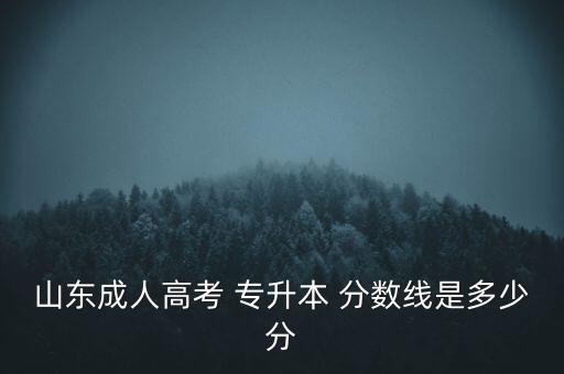 山東專升本編導(dǎo)專業(yè)錄取分?jǐn)?shù)線,2022年山東專升本各校錄取分?jǐn)?shù)線
