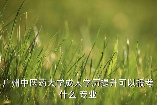 廣州中醫(yī)藥大學(xué)成人學(xué)歷提升可以報考什么 專業(yè)