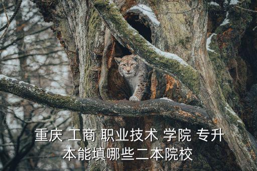 重慶工商職業(yè)學(xué)院專(zhuān)升本