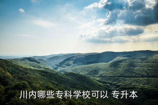 川內(nèi)哪些?？茖W(xué)?？梢?專升本