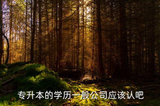  專(zhuān)升本的學(xué)歷一般公司應(yīng)該認(rèn)吧