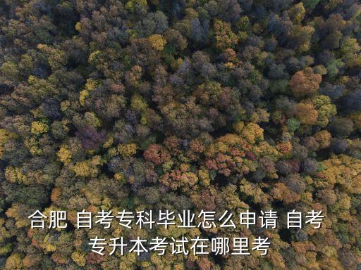 合肥 自考?？飘厴I(yè)怎么申請(qǐng) 自考 專升本考試在哪里考