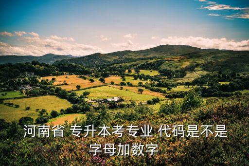  河南省 專(zhuān)升本考專(zhuān)業(yè) 代碼是不是字母加數(shù)字