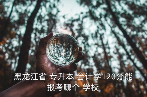 黑龍江省 專升本 會計學120分能報考哪個 學校