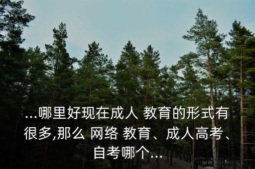 ...哪里好現(xiàn)在成人 教育的形式有很多,那么 網(wǎng)絡(luò) 教育、成人高考、自考哪個(gè)...