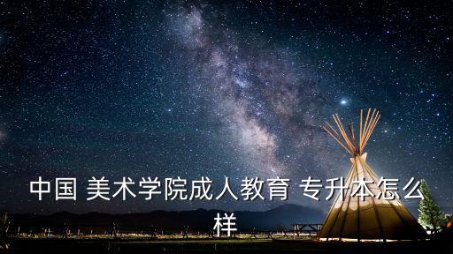 中國 美術學院成人教育 專升本怎么樣