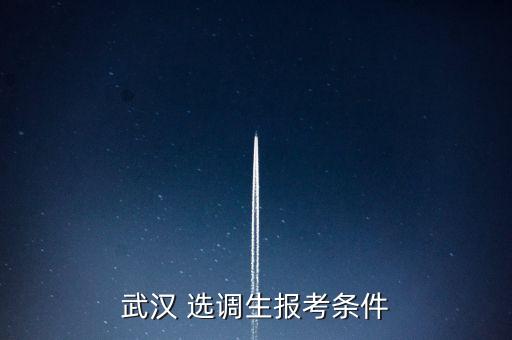 武漢 選調生報考條件