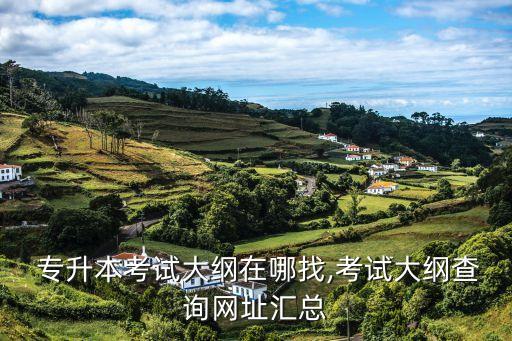  專升本考試大綱在哪找,考試大綱查詢網址匯總