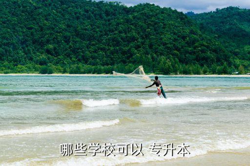 哪些學(xué)?？梢?專(zhuān)升本