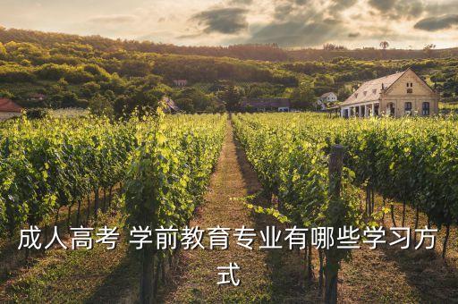 成人高考 學前教育專業(yè)有哪些學習方式