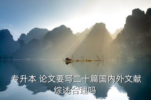  專(zhuān)升本 論文要寫(xiě)二十篇國(guó)內(nèi)外文獻(xiàn)綜述合理嗎