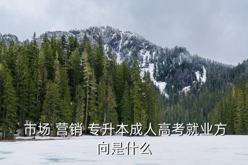  市場(chǎng) 營(yíng)銷(xiāo) 專(zhuān)升本成人高考就業(yè)方向是什么