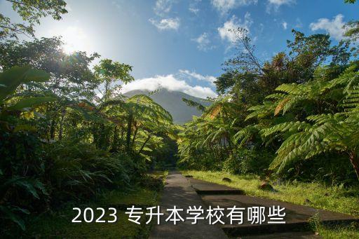 2023 專升本學校有哪些