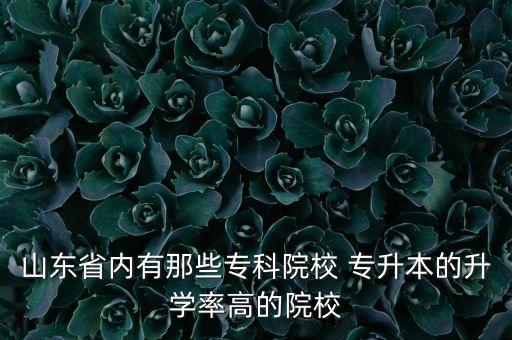 山東省內(nèi)有那些?？圃盒?專升本的升學(xué)率高的院校