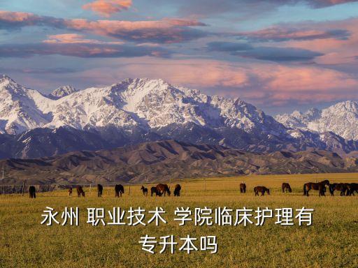  永州 職業(yè)技術 學院臨床護理有 專升本嗎