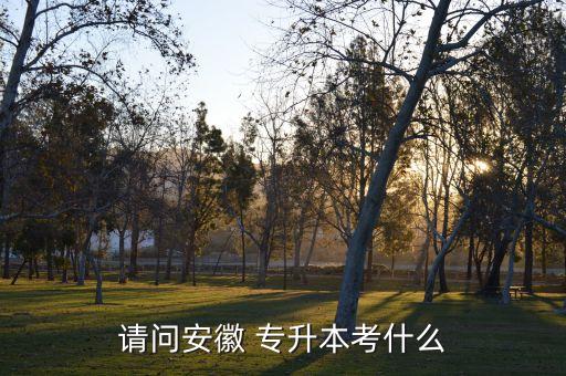 亳州學院專升本