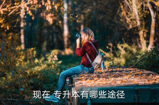 現(xiàn)在 專(zhuān)升本有哪些途徑