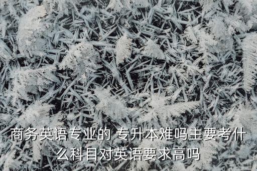 商務(wù)英語(yǔ)專(zhuān)業(yè)的 專(zhuān)升本難嗎主要考什么科目對(duì)英語(yǔ)要求高嗎