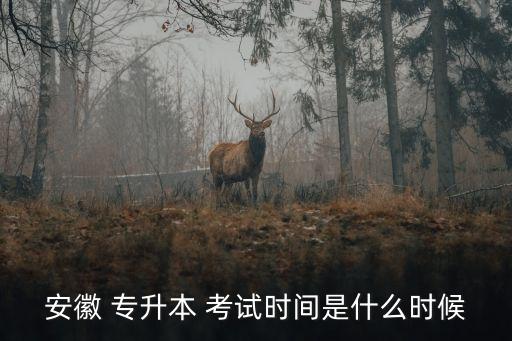 安徽 專(zhuān)升本 考試時(shí)間是什么時(shí)候