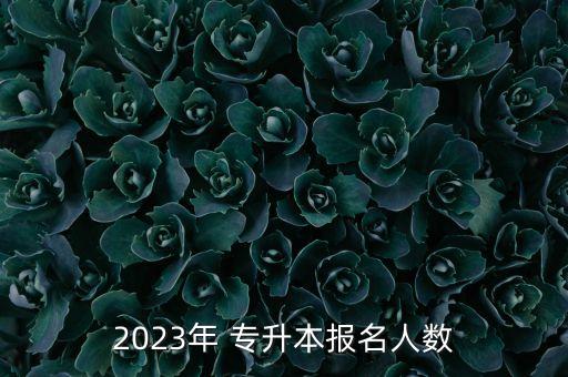 2023年 專升本報(bào)名人數(shù)