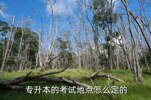 浙江專升本考場分布,2023年浙江專升本考場