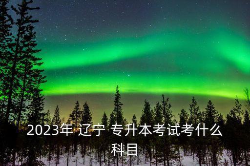 2023年 遼寧 專升本考試考什么科目