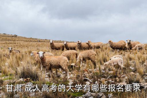 甘肅 成人高考的大學有哪些報名要求