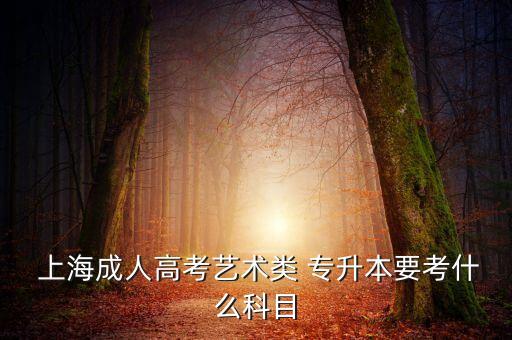 上海美術(shù)系專升本,美術(shù)系專升本考試科目