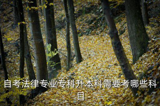 自考法律專業(yè)?？粕究菩枰寄男┛颇? class=