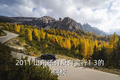 2011 山東還有沒有實(shí)行1 3的院校