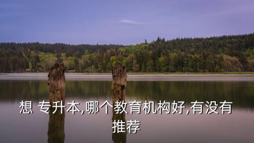想 專升本,哪個教育機構好,有沒有推薦