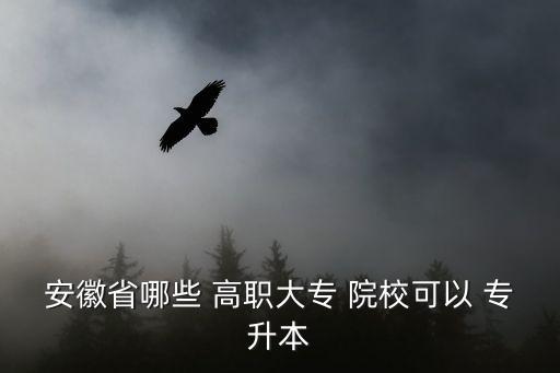 安徽省哪些 高職大專 院校可以 專升本
