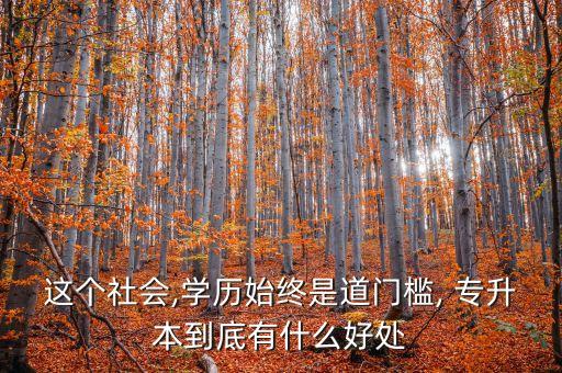 這個社會,學歷始終是道門檻, 專升本到底有什么好處