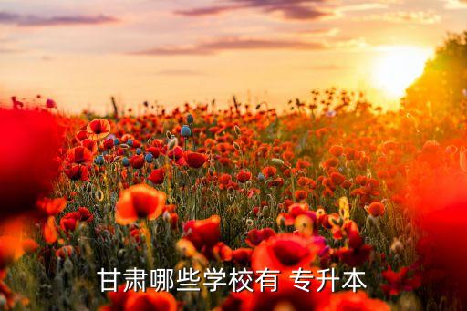 甘肅哪些學校有 專升本