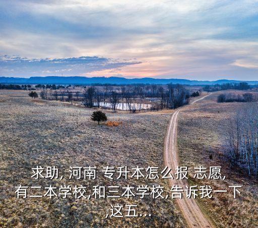 求助, 河南 專升本怎么報 志愿,有二本學(xué)校,和三本學(xué)校,告訴我一下,這五...