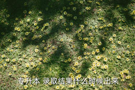 專(zhuān)升本擬錄取后