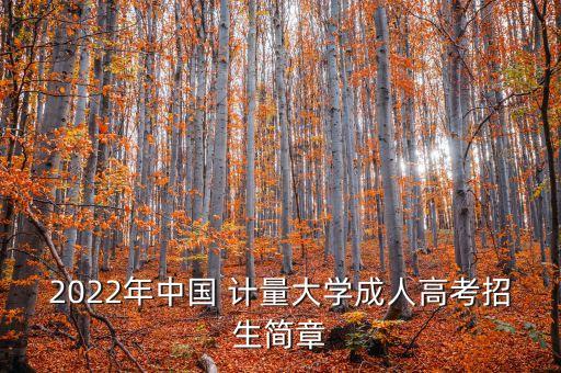2022年中國 計量大學(xué)成人高考招生簡章