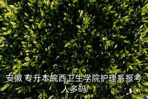 安徽省護士專升本,護士專升本可以報考哪些專業(yè)