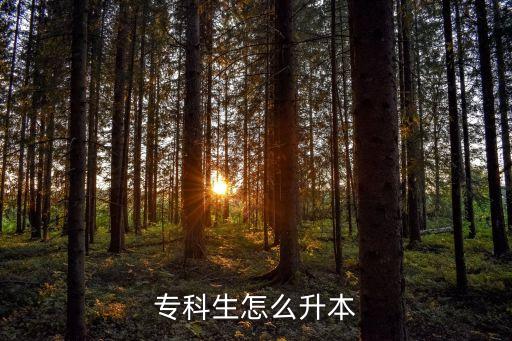 專(zhuān)科生怎么升本