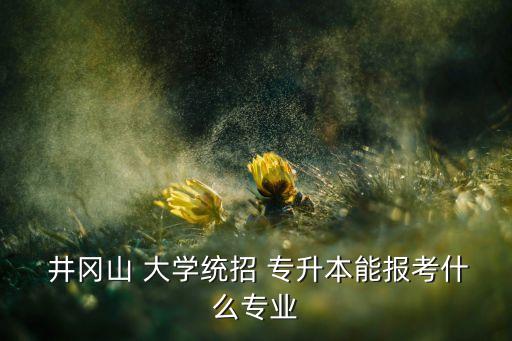 井岡山 大學(xué)統(tǒng)招 專升本能報考什么專業(yè)