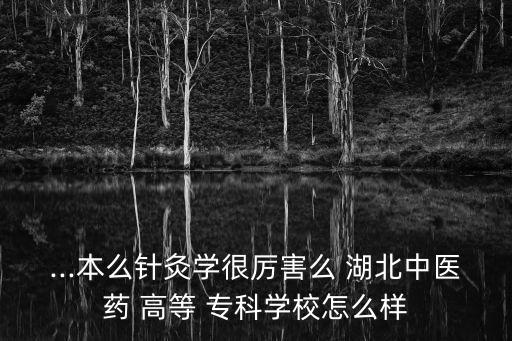 湖北高等醫(yī)學(xué)專科學(xué)?？梢詫Ｉ締?湖北中醫(yī)藥高等醫(yī)學(xué)?？茖W(xué)校