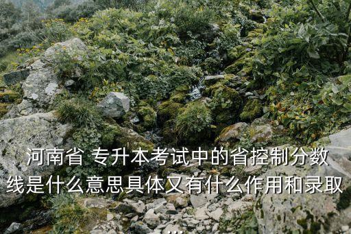  河南省 專升本考試中的省控制分數(shù)線是什么意思具體又有什么作用和錄取...