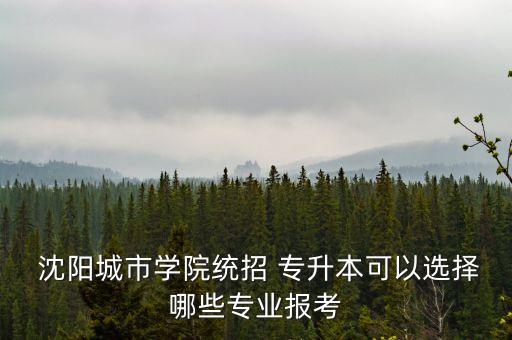 2017年沈陽專升本考試