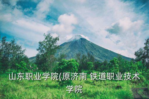 山東職業(yè)學院(原濟南 鐵道職業(yè)技術(shù)學院