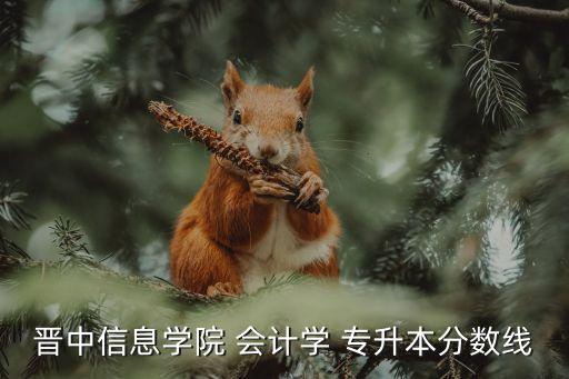 晉中信息學(xué)院 會計學(xué) 專升本分?jǐn)?shù)線