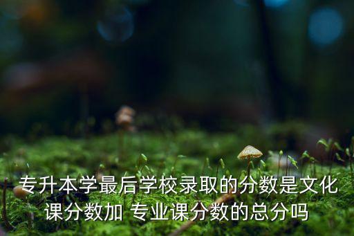 專升本學(xué)最后學(xué)校錄取的分數(shù)是文化課分數(shù)加 專業(yè)課分數(shù)的總分嗎