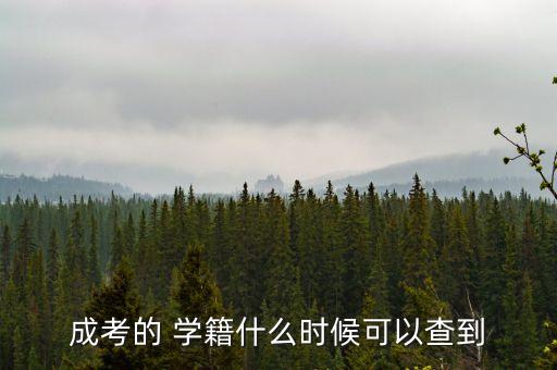 成人專升本學籍查詢