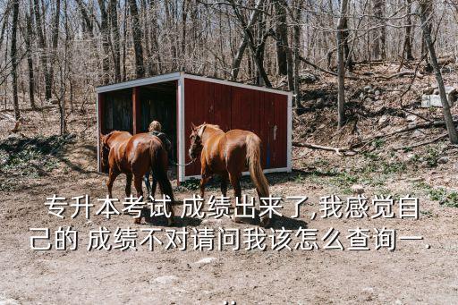  專(zhuān)升本考試 成績(jī)出來(lái)了,我感覺(jué)自己的 成績(jī)不對(duì)請(qǐng)問(wèn)我該怎么查詢一...