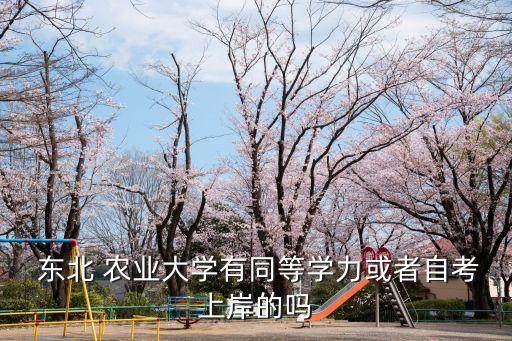  東北 農業(yè)大學有同等學力或者自考上岸的嗎